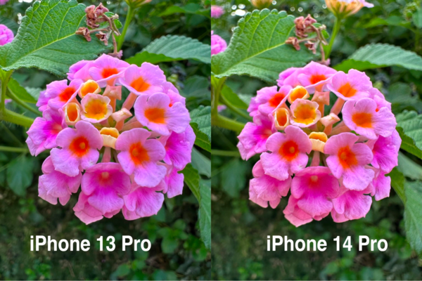 Camera của iPhone 14 Pro cho chất lượng hình ảnh tươi sáng, sắc nét hơn so với iPhone 13 Pro